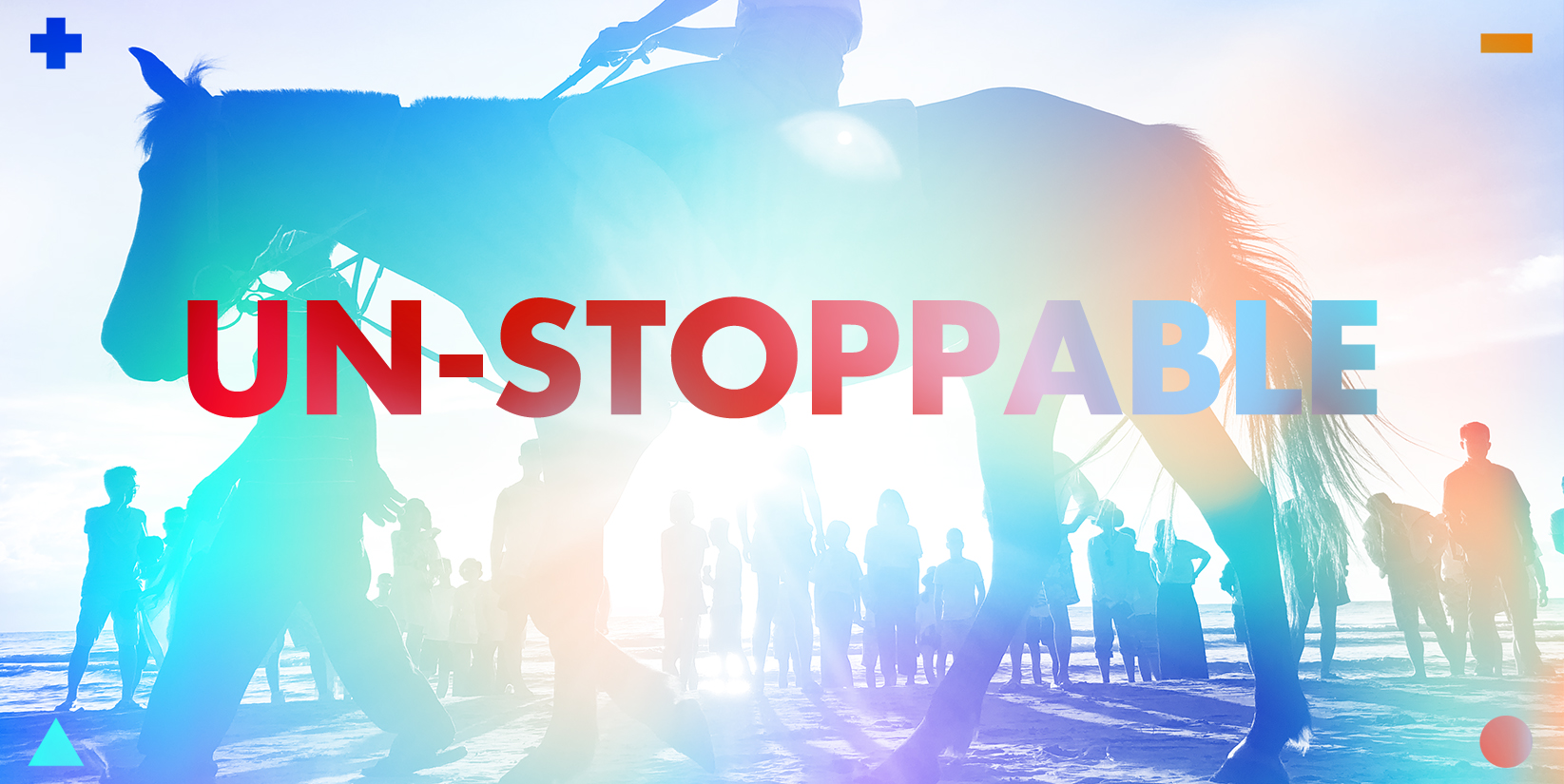 ����������Ϣ